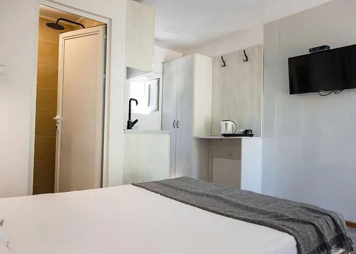 Albatross Family Nest Breeze * Varna