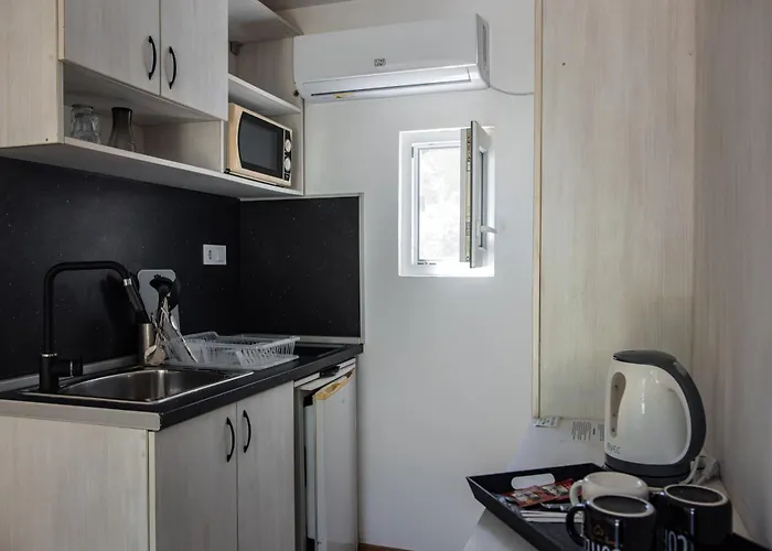 Albatross Family Nest Breeze Varna