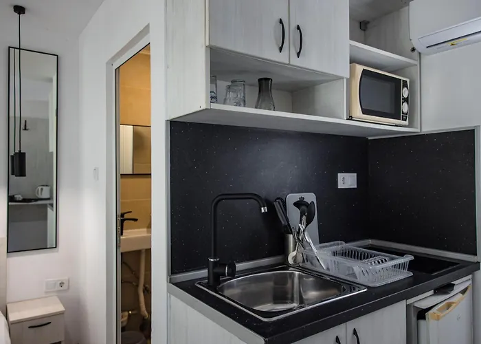 Albatross Family Nest Breeze Campsite Varna