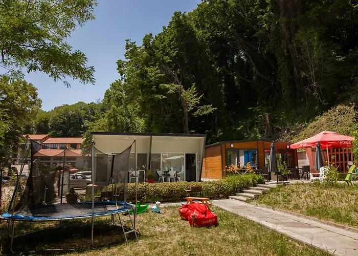 Campsite Albatross Family Nest Breeze Varna